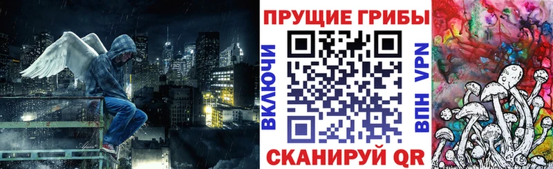 Купить закладки  Туринск  Галлюциногенные грибы прущие грибы 